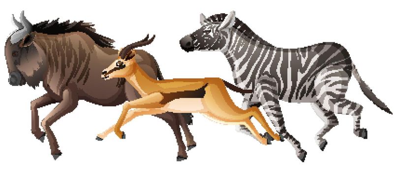 Group of wild animals running on white background illustration