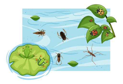 Top view of aquatic insects in the pond