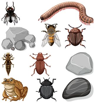 Different types of insect with nature elements