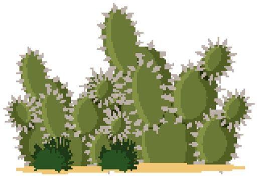 Catus plants cartoon style on white background