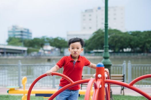 Little asian boy riding a swing and rejoices
