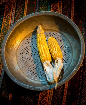 Dry corns on the cob kernels peeled