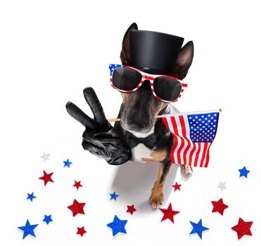 independence day 4th of july dog