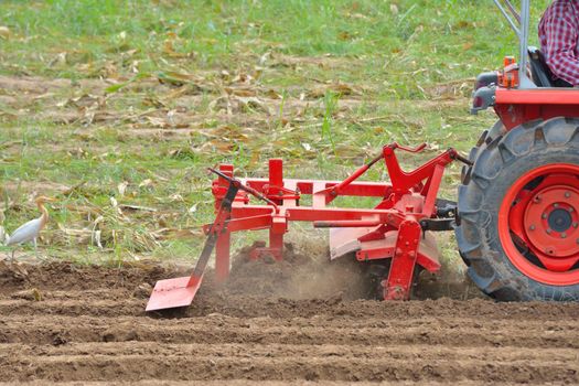 Farmer in tractor plowing land with red tractor for agriculture