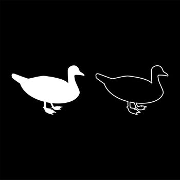Duck Male mallard Bird Waterbird Waterfowl Poultry Fowl Canard silhouette white color vector illustration solid outline style image