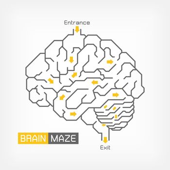 Brain maze . Creative idea concept . Outline of cerebrum cerebellum and brainstem . Flat design .