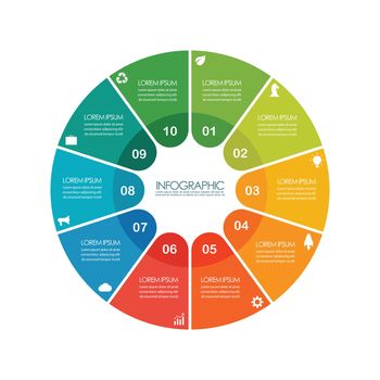 Infographic circle chart template