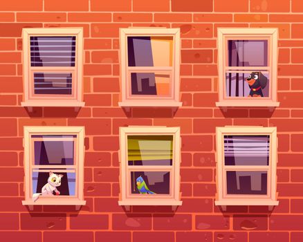 Pets in windows, cat, dog and parrot sit on windowsills inside of room looking out. Brick wall facade front view with cute kitten with toy, puppy and bird. Domestic animals Cartoon vector illustration