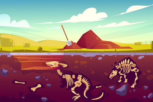 Fossil dinosaurs excavation, paleontology works