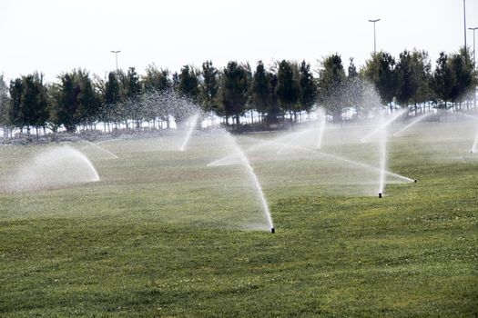 Lawn water sprinkler spraying water over green grass 