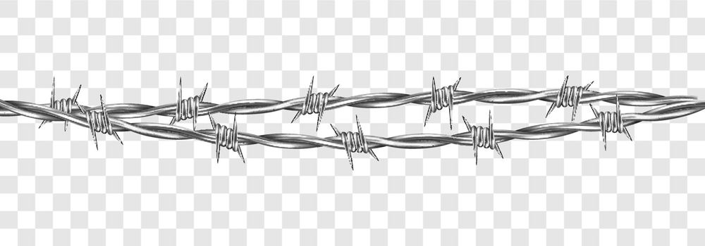 Metal steel barbed wire with thorns or spikes