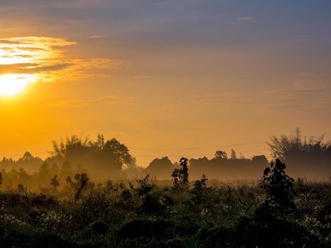 Gold light of sunrise at the countryside in morning