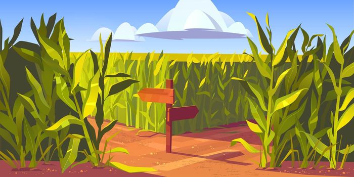 Green corn fields maize plants sandy road cartoon