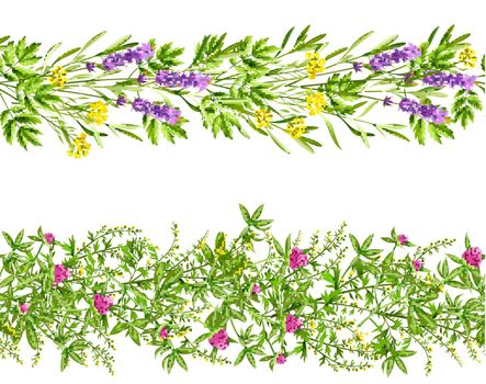 Herbs And Wild Flowers Seamless Pattern