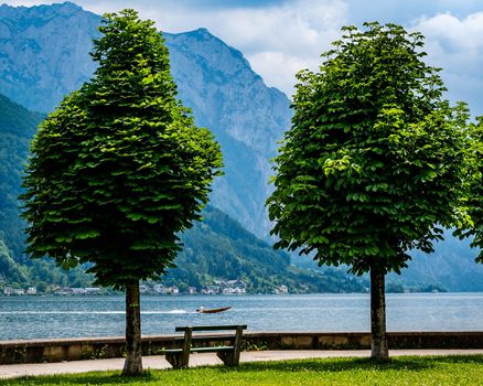Two trees by the lake and a speedy boat passing