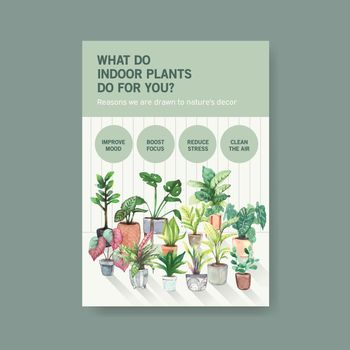  infomation about summer plant and house plants template design for advertise,leaflet,brocure and booklet watercolor illustration 