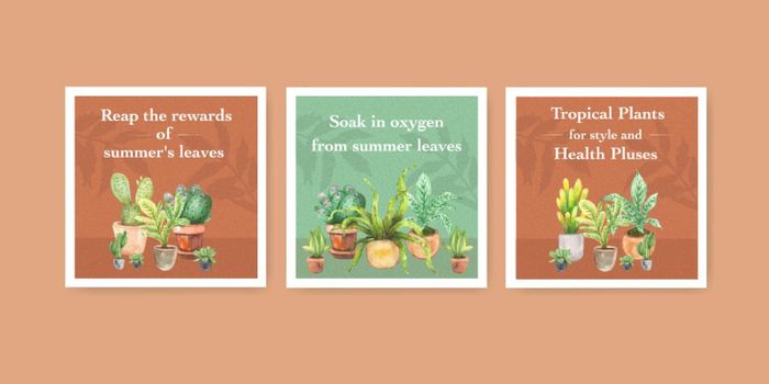 Summer plant and house plants advertise template design for leaflet,brocure and booklet watercolor illustration