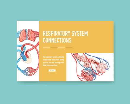 respiratory system design for website template with Human Anatomy of Lung 