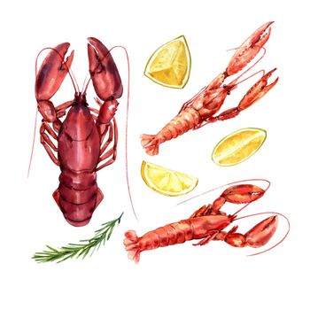 Set of isolated watercolor crayfish, lobster illustration for decorative use.