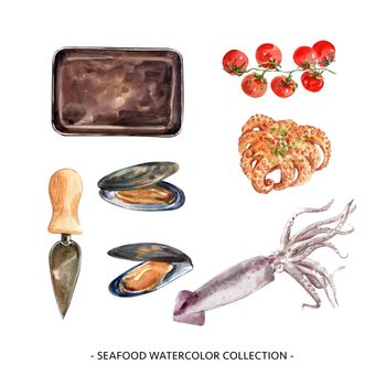 Set of isolated watercolor mussel, squid illustration for decorative use.