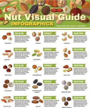Nuts Infographics Set