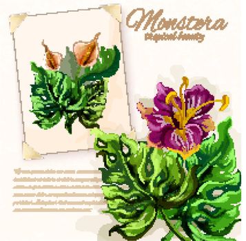 Monstera leaves with hibiscus flowers design 
