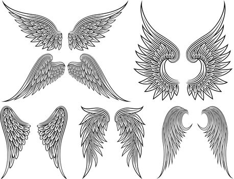 Vector heraldic wings or angel