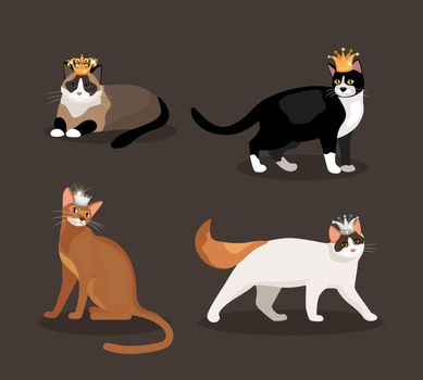 Set of four cats wearing crowns