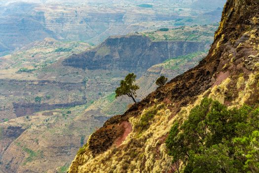 Ethiopian landscape, Ethiopia, Africa wilderness