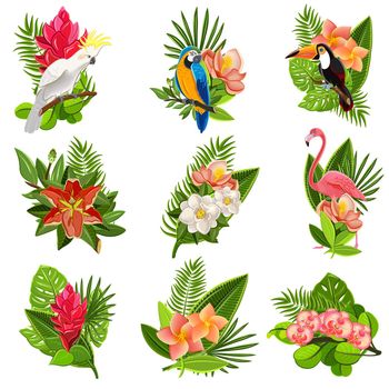 Tropical birds and flowers pictograms set