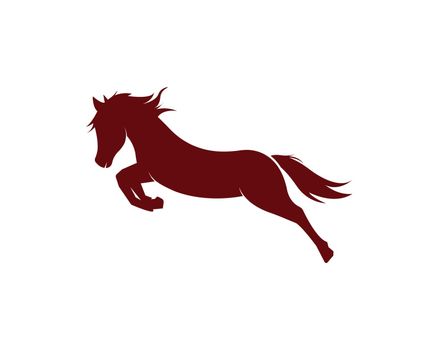 Horse Logo Template Vector illustration 