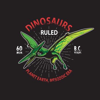 Dinosaur t-shirt print. 