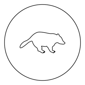 Badger animal wild Meles Taxus predatory mammal family kunihih Carnivore silhouette in circle round black color vector illustration contour outline style image