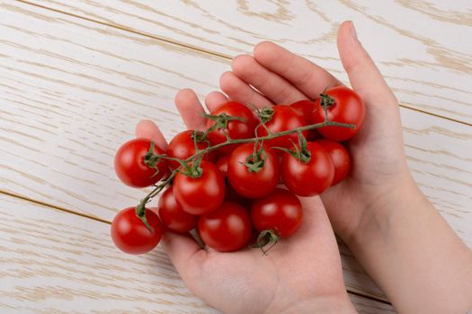 Bunch of red ripe  cherry tomatos in hand 