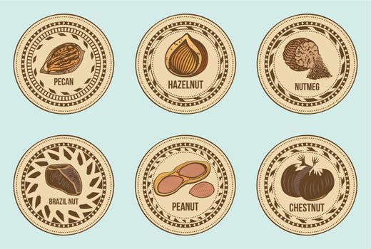 Colorful Fresh Nuts Round Labels Set