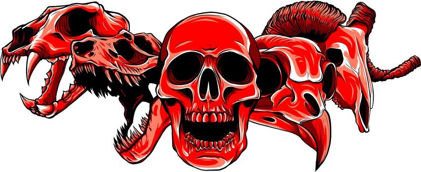 vector illustratio of animal skull art design