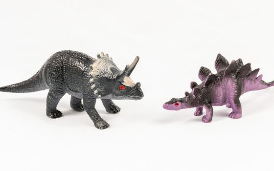 Stegosaurus and triceratops dinosaur toy models