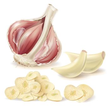 Vector realistic garlic, peeled cloves and slices
