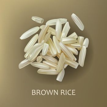 Grains of brown rice