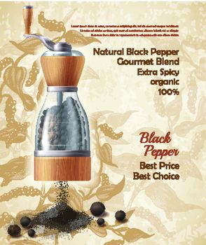 Vector promo banner of black pepper natural spice