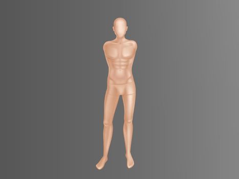 Vector male mannequin, manikin for clothing store.