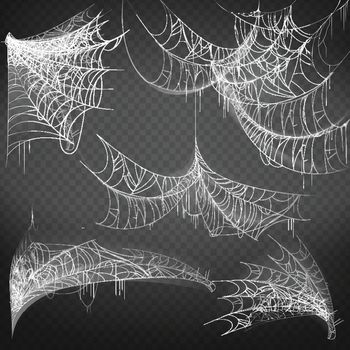 Vector hand drawn spiderweb, white spooky cobweb