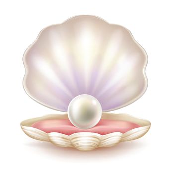 Precious pearl in opened shell realistic vector