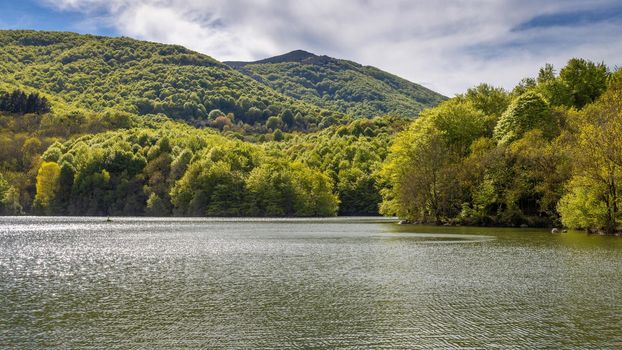 Summer landscape with forest lake on the Spanish Montseny mountain