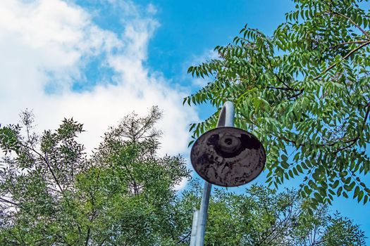 Rusted street lamp in nature and trees