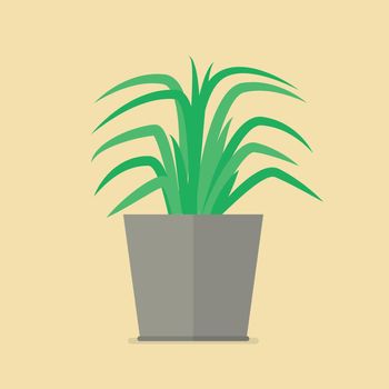 Plant in pot flat icon
