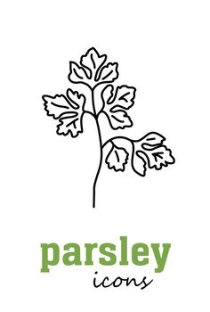 Parsley vector flat icon. Vegetable green leaves
