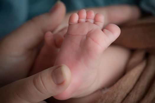 Children's feet in hold hands of mother and father. Mother, father and Child. Happy Family people concept. High quality photo
