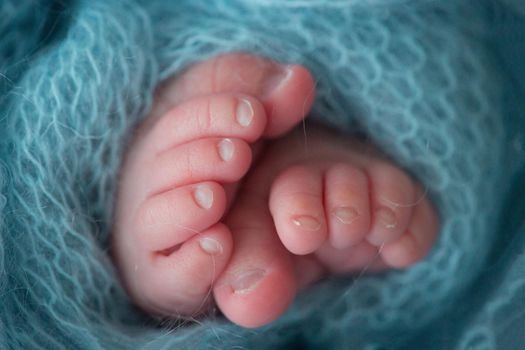 Two cute tiny baby feet wrapped in a blue-green aqua knitted blanket