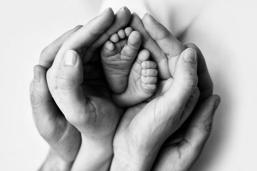 Children's feet in hold hands of mother and father on white.